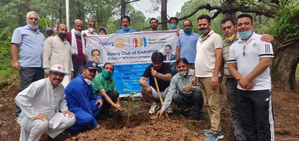 Plantation drive