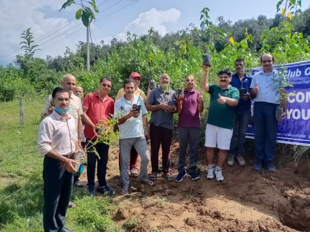 3rd Phase of Plantation 2021